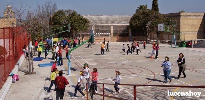 El Colegio del Carmen. Al fondo el gimnasio en el que se ejecutarán las obras El Colegio del Carmen. Al fondo el gimnasio en el que se ejecutarán las obras
