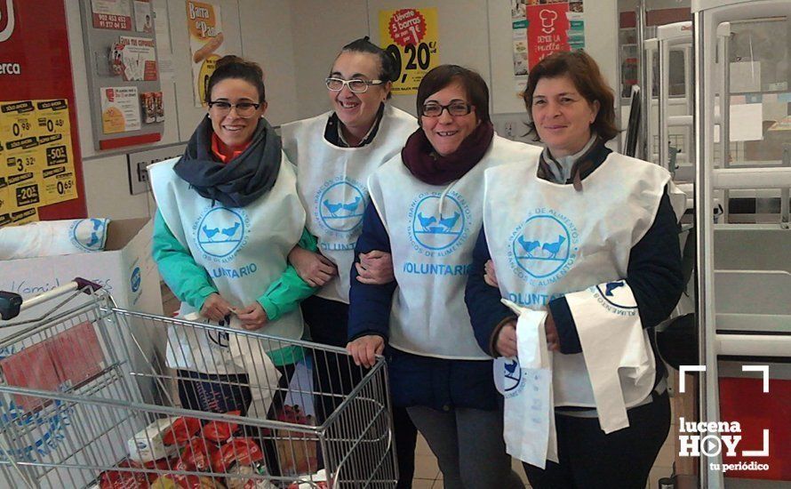 Voluntarios, en la Gran Recogida 2016. Voluntarios, en la Gran Recogida 2016.