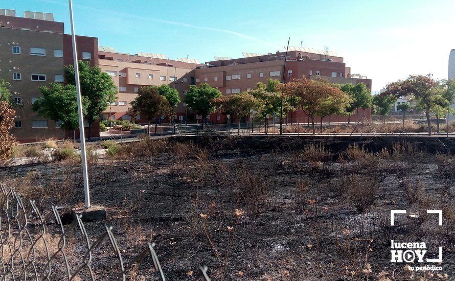 Una parcela quemada en la zona de Dehesa de la Villa. Los vecinos exigen la limpieza y desbroce de las existentes. Archivo Una parcela quemada en la zona de Dehesa de la Villa. Los vecinos exigen la limpieza y desbroce de las existentes. Archivo