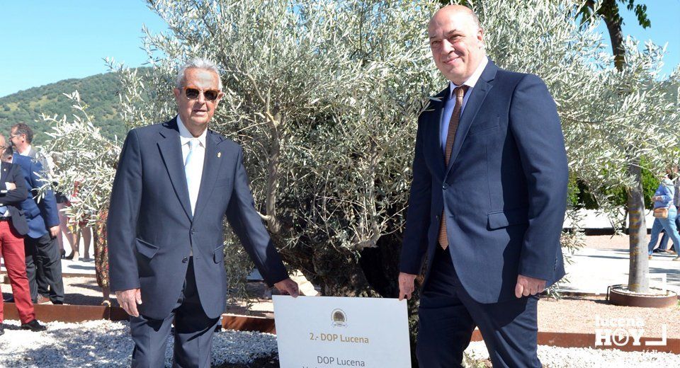 El presidente de la DO Aceite de Lucena, Antonio Cañete, junto al de la Diputación, Antonio Ruiz y un olivo "hojiblanco" plantado en Media Azahara. El presidente de la DO Aceite de Lucena, Antonio Cañete, junto al de la Diputación, Antonio Ruiz y un olivo "hojiblanco" plantado en Media Azahara.