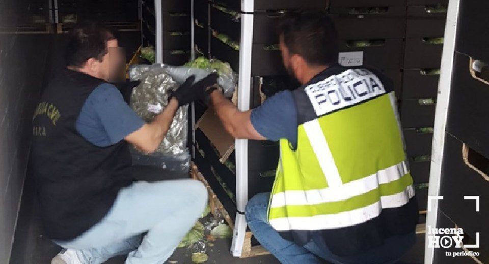 Labores de búsqueda de la droga, camuflada entre las lechugas en el interior del camión Labores de búsqueda de la droga, camuflada entre las lechugas en el interior del camión