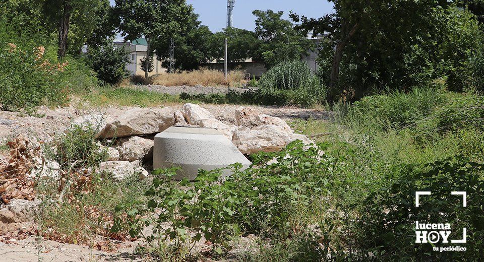 Uno de los puntos de registro instalados junto al cauce del río Uno de los puntos de registro instalados junto al cauce del río