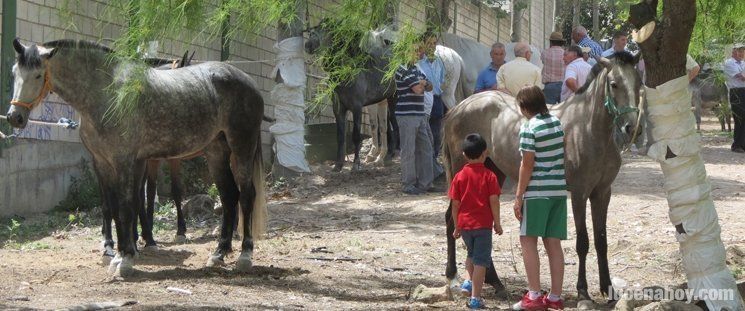 Buena acogida a la feria de ganados celebrada en el Cascajar