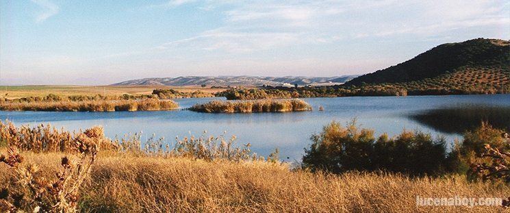 Comarca: Imputan a un hombre por un incendio en el embalse de Cordobilla tras quemar pastos