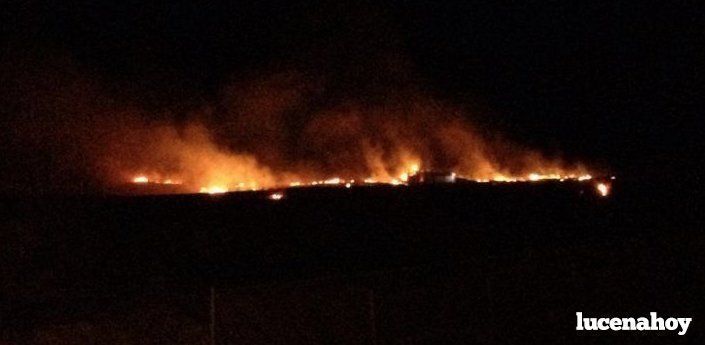 Arden más de 10.000 metros cuadrados de pastos en la zona de Los Poleares
