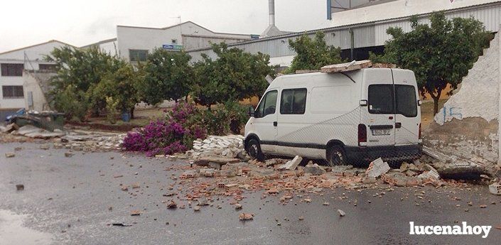 La caída de un muro en la calle Fundidores y de un árbol en el Pilar de la Dehesa, principales daños del temporal