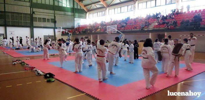 La VII edición del Trofeo Diputación de Taekwondo-Hapkido congrega en Lucena a 150 niños (fotos)