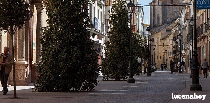 Se abren al tránsito rodado las últimas calles en obras. El trafico en el centro vuelve a la normalidad