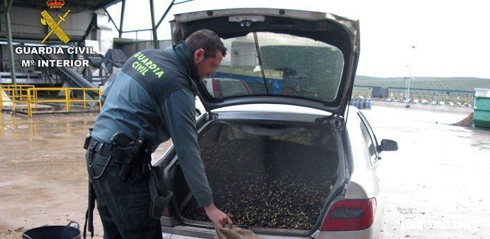 Detenidas dos personas en Lucena por la sustracción de una tonelada y media de aceituna en Iznájar