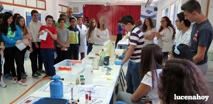 El IES Miguel de Cervantes muestra a los alumnos lucentinos la Feria de la Ciencia (fotos)