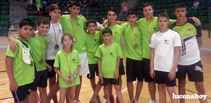 El Club Koryo termina la temporada con diez medallas en el Open Ciudad de Segovia (fotos)