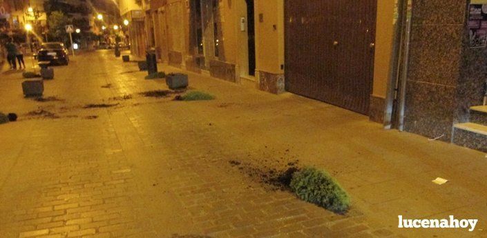 La Policía Local inicia un expediente sancionador contra el presunto autor de los daños en 11 maceteros