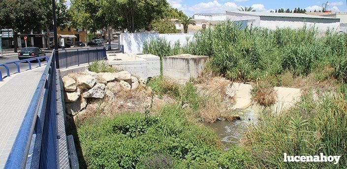 El ayuntamiento inicia esta semana la limpieza y dragado de cauces públicos para evitar inundaciones (vídeo)