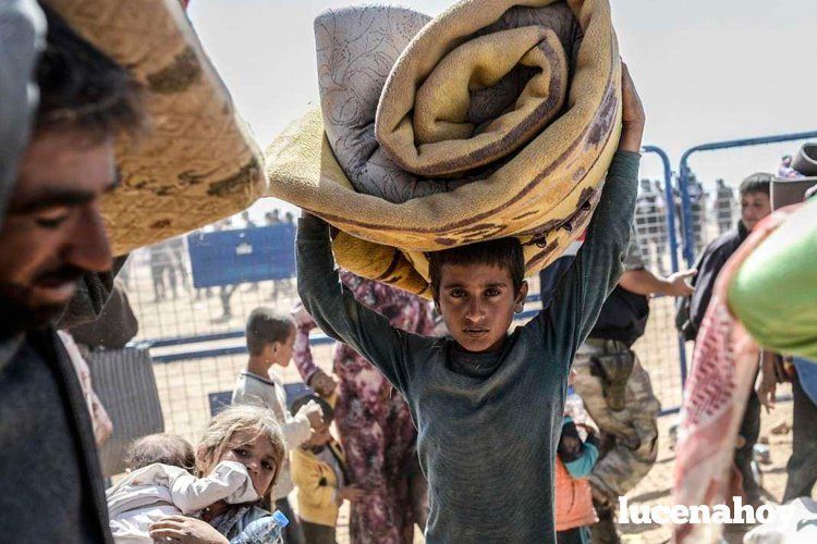 refugiados13