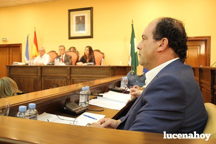 pleno pp1