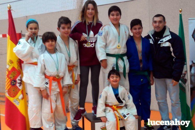 plantillalucenahoyvnuevaLUCENAHOYJUDO