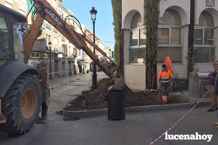 OBRAS JARDIN