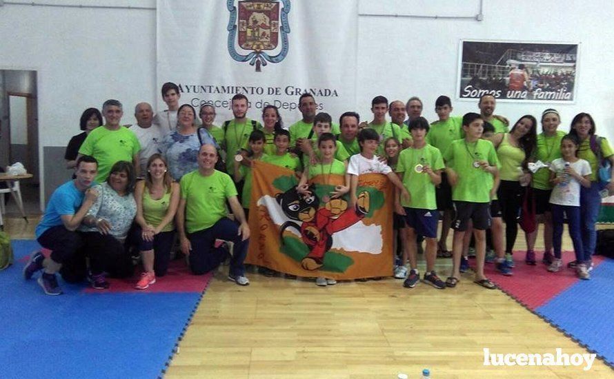 plantillalucenahoy2016koryolucena