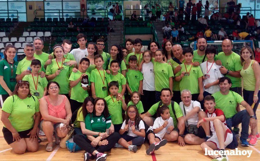 plantillalucenahoy2016koryosegovia