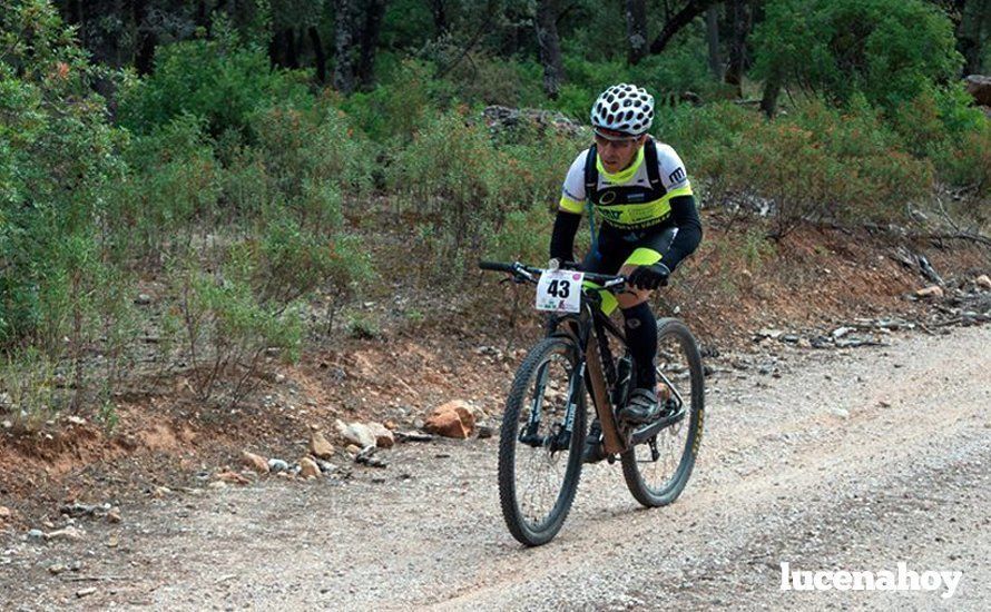 plantillalucenahoy2016pacohuertascampos