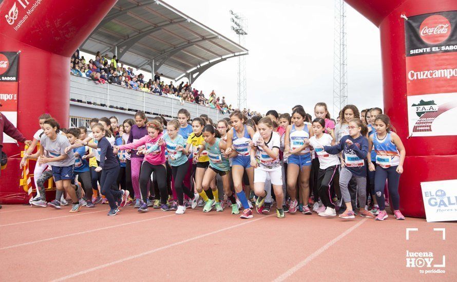 Carrera Popular 104
