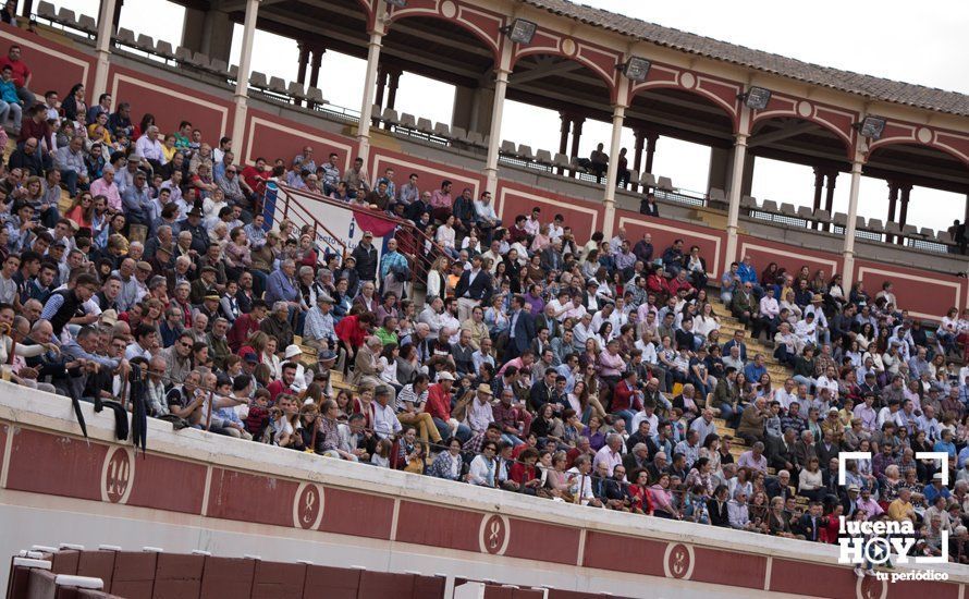 TorosLucena (6)