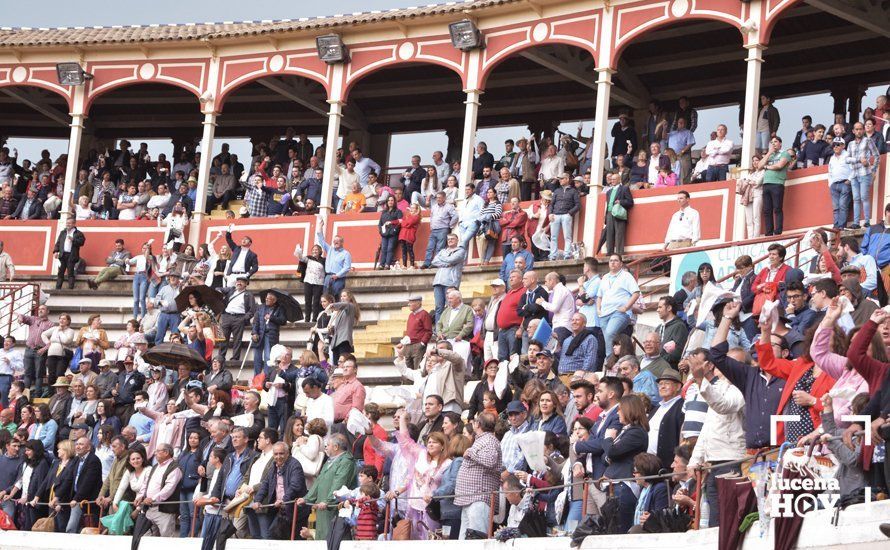 TorosLucena (65)