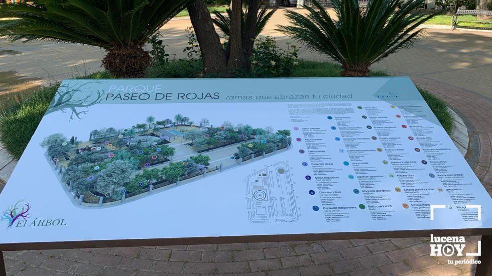 paseo de rojas