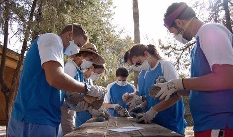 Campo de Voluntariado Juvenil (Imagen: Europa Press)