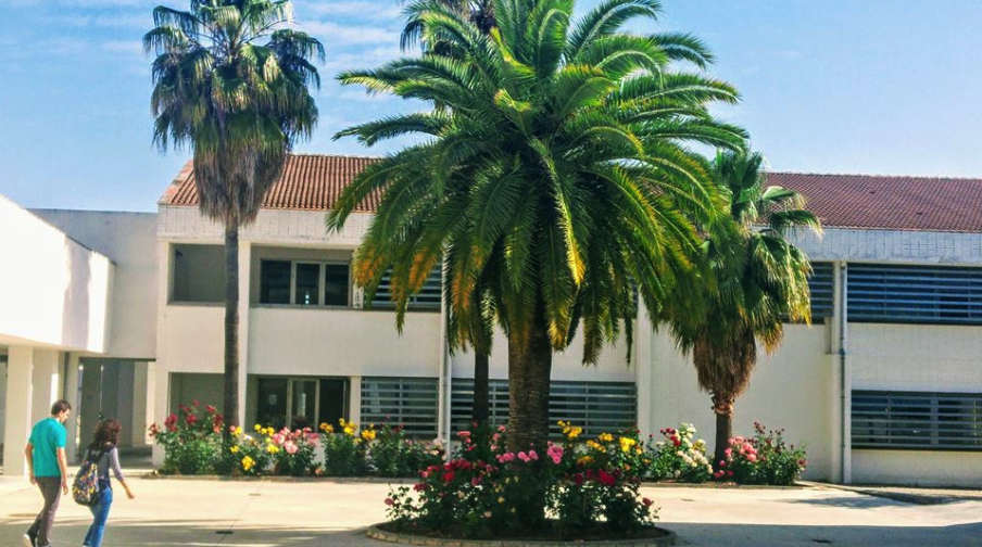 IES Juan de Aréjula de Lucena