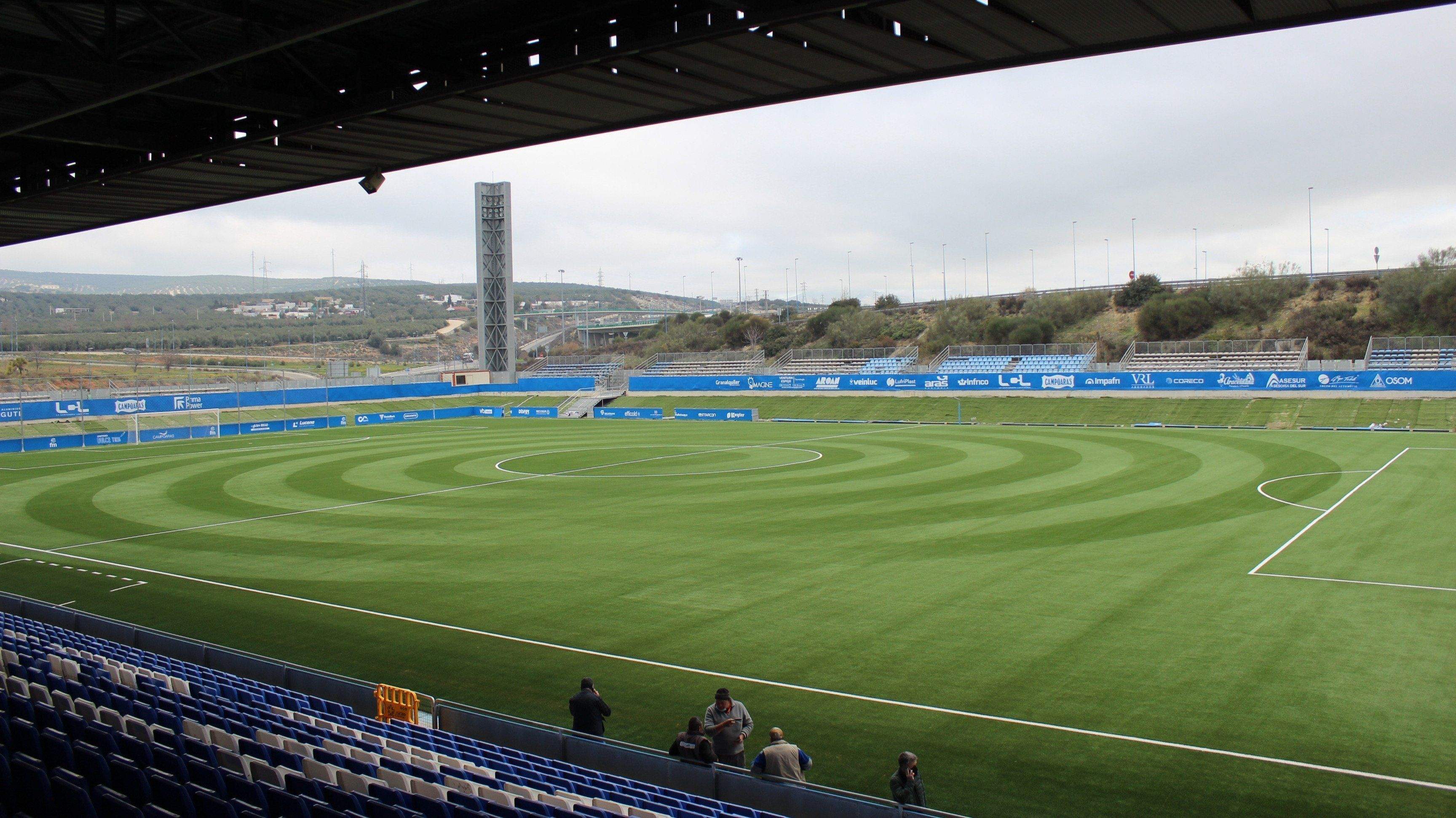 Césped estadio