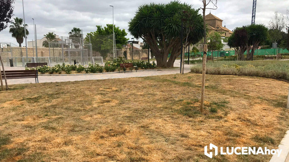 Parque El carmen 2