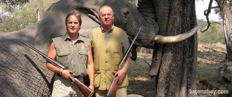 "El elefante y el rey"
