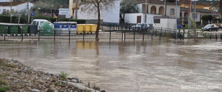 El Genil inunda de nuevo el víal que separa el río de los edificios (fotos)