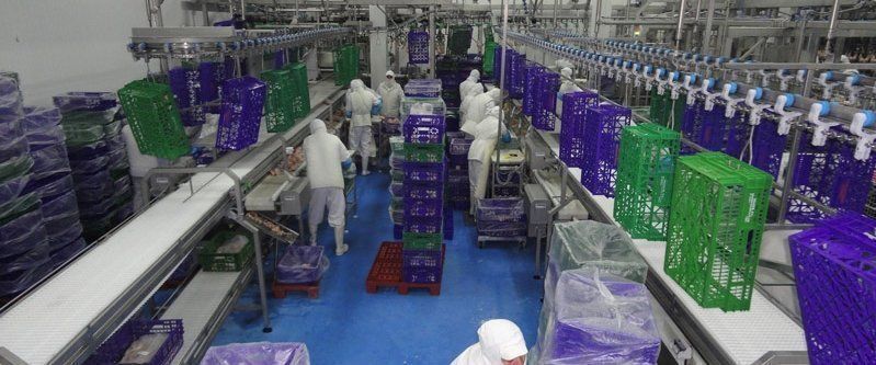 La cárnica lucentina Guadavi suministrará de pollo a Mercadona
