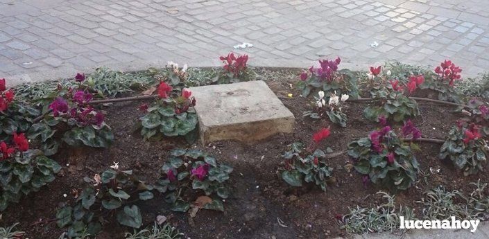Desaprensivos arrancan de su pedestal la escultura de la niña instalada junto al Coso