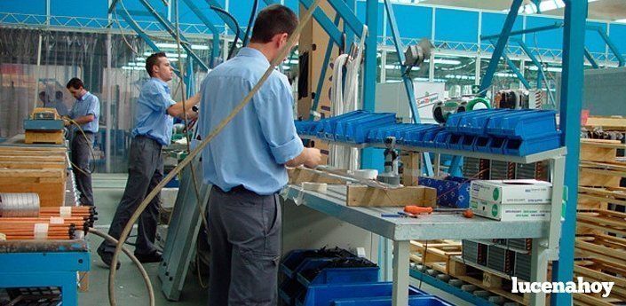 Lucena registró en 2013 un incremento del 12,5% en sociedades mercantiles de nueva creación