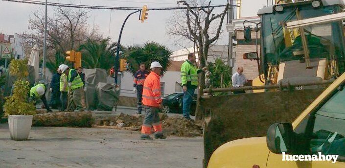 Críticas vecinales a la tala de tres plátanos de sombra y cuatro naranjos en el Valle