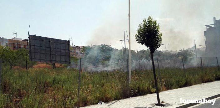 Extinción de un incendio estival en una parcela del Plan Parcial Oeste 1 Extinción de un incendio estival en una parcela del Plan Parcial Oeste 1
