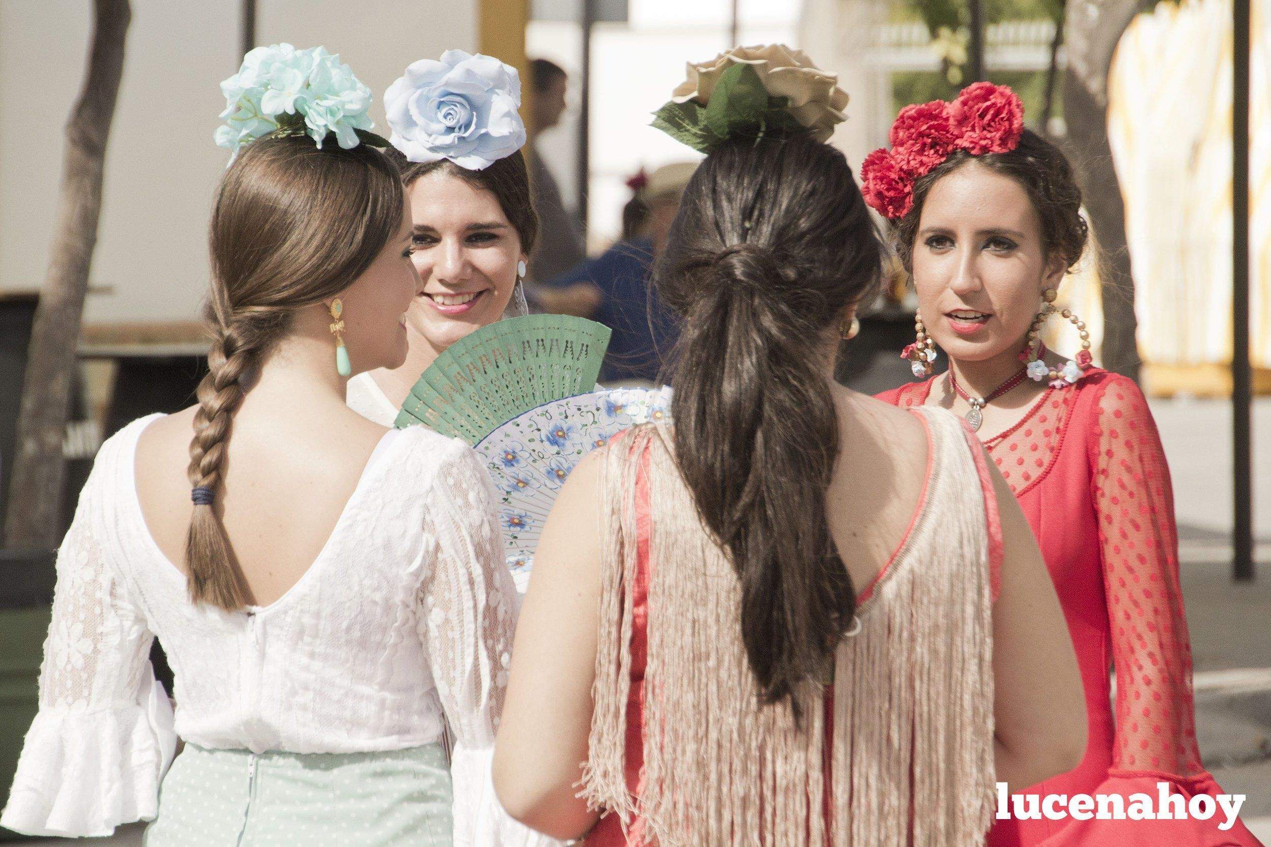 Feria de mediodía 47.