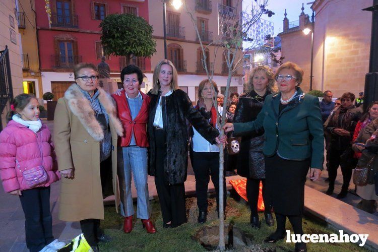 Representantes de las asociaciones de mujeres y María del Mar Morales, junto al árbol en recuerdo de las víctimas por violencia de género.