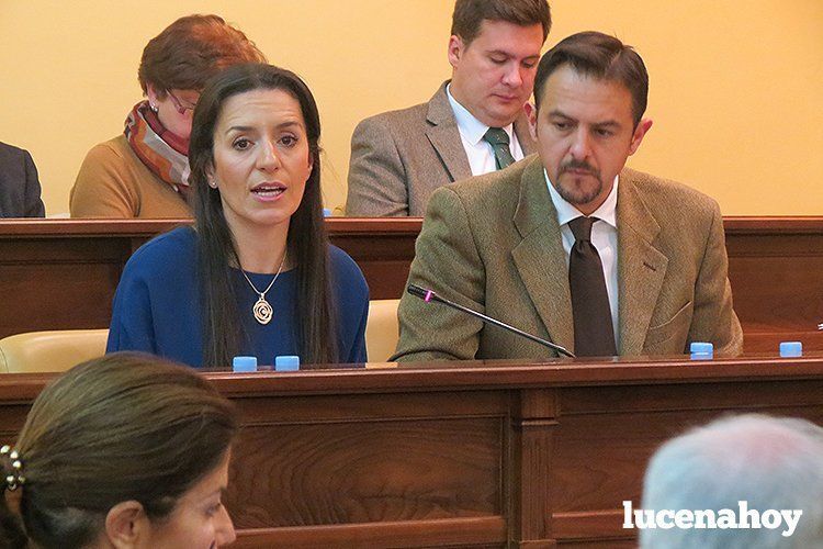Araceli Bergillos, concejal de Hacienda, en un momento de la sesión plenaria Araceli Bergillos, concejal de Hacienda, en un momento de la sesión plenaria
