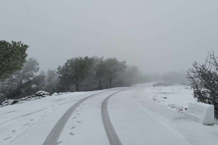 La nieve incluso ha obligado a cortar la carretera de Cabra en algunos momentos. Foto: Pedro Jesus Carrillo La nieve incluso ha obligado a cortar la carretera de Cabra en algunos momentos. Foto: Pedro Jesus Carrillo