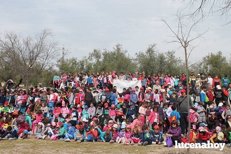 Alumnos del Colegio Antonio Machado participantes en esta actividad. Fotos: Ayuntamiento de Lucena
Alumnos del Colegio Antonio Machado participantes en esta actividad. Fotos: Ayuntamiento de Lucena