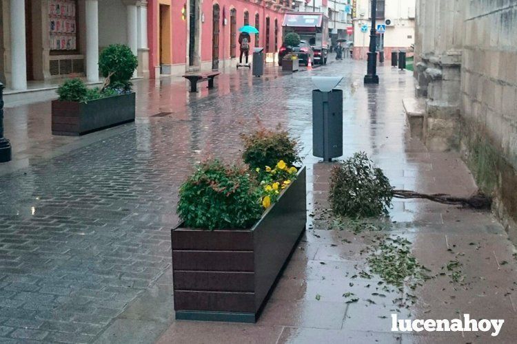 Algunas de las jardineras que sufrieron destrozos en la madrugada del martes Algunas de las jardineras que sufrieron destrozos en la madrugada del martes