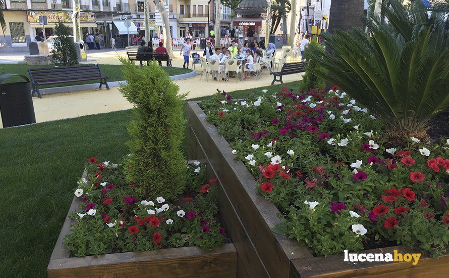 Uno de los remodelados jardines del paseo del Coso Uno de los remodelados jardines del paseo del Coso