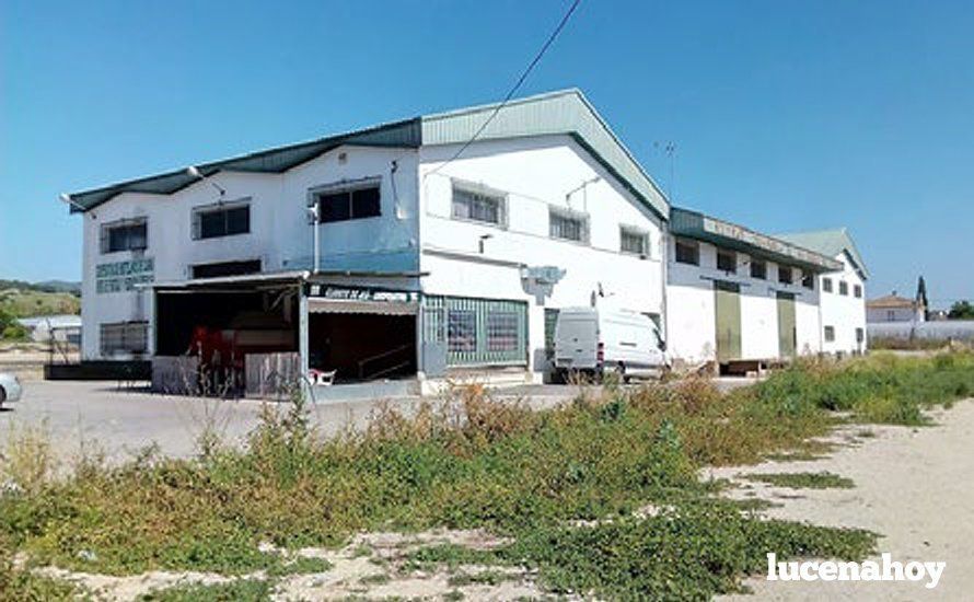Naves de la antigua cooperativa de agricultores de Cabra, que pretende adquirir Subbética Ecológica. Naves de la antigua cooperativa de agricultores de Cabra, que pretende adquirir Subbética Ecológica.