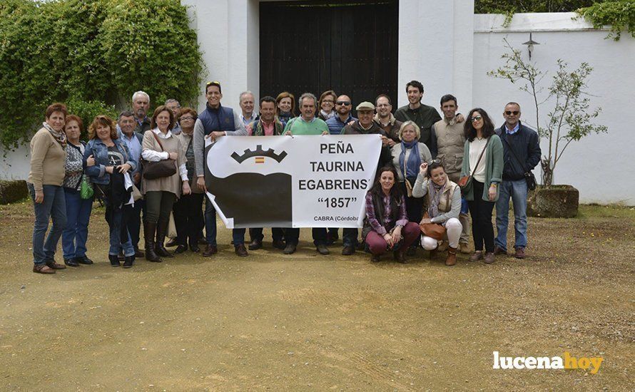 peñataurinacabra peñataurinacabra