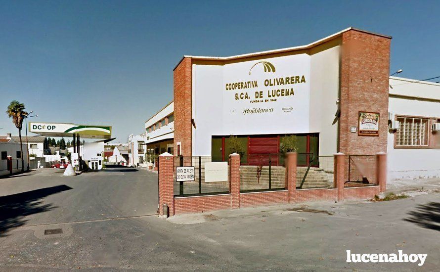 COOPERATIVA OLIVARERA DE LUCENA COOPERATIVA OLIVARERA DE LUCENA