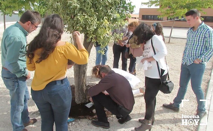 Un momento de la plantación del árbol y la placa conmemorativa en el patio del centro Un momento de la plantación del árbol y la placa conmemorativa en el patio del centro